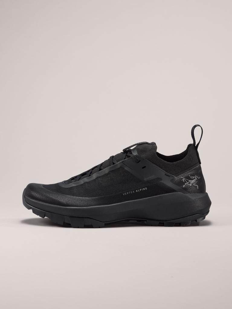 Arcteryx Vertex Alpine Gtx Male (E Type)