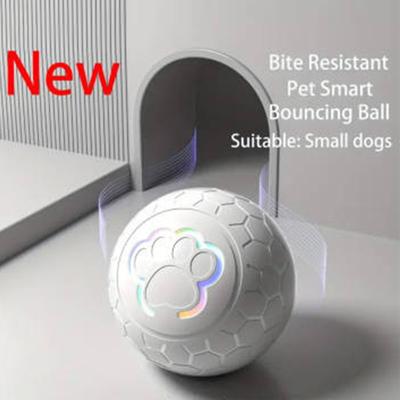 Smart Rechargeable LED Pet Ball Automatic Bouncing Rolling Interactive Toy with RGB Lights
