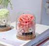 Mini Glass Dome with Preserved Flower - Ideal Gift for Mother's, Women's, Teacher's Day, Valentine's & Christmas