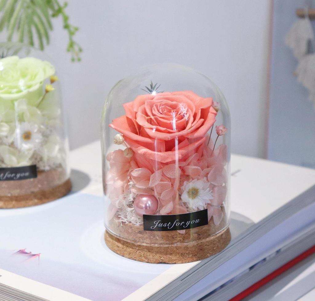 Mini Glass Dome with Preserved Flower - Ideal Gift for Mother's, Women's, Teacher's Day, Valentine's & Christmas