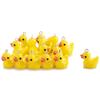 50Pcs Luminous Mini Ducks Pendants Moss Microlandscape Miniature Duck Figurines Fairy Garden Access Home Decor Glow In The Dark