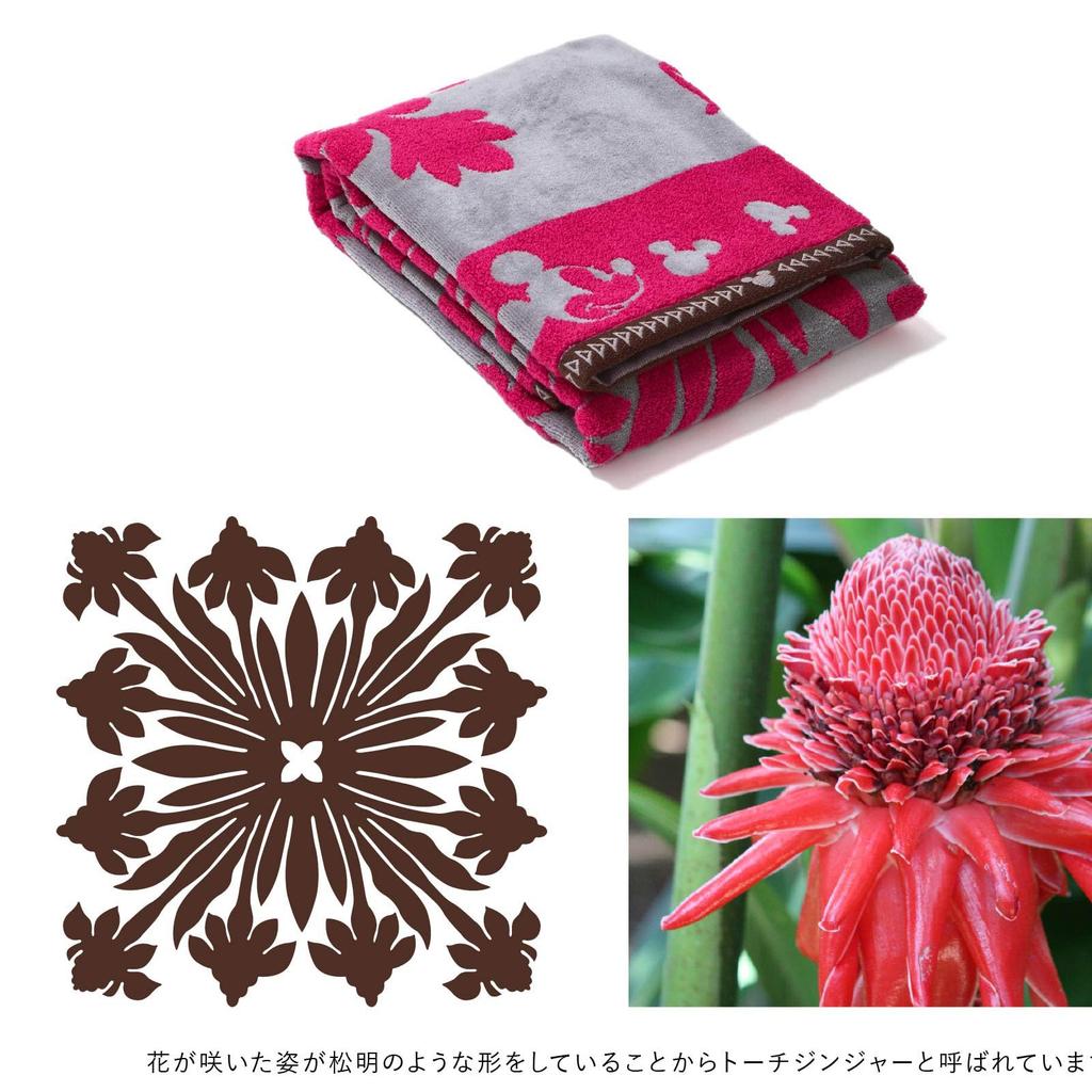 Mum Island 86103576 Bath Towel for Torch Approximately 60cm Wide x 120cm Long [Cathy Style] Women, Disney, 86103576C, Gray Ginger,