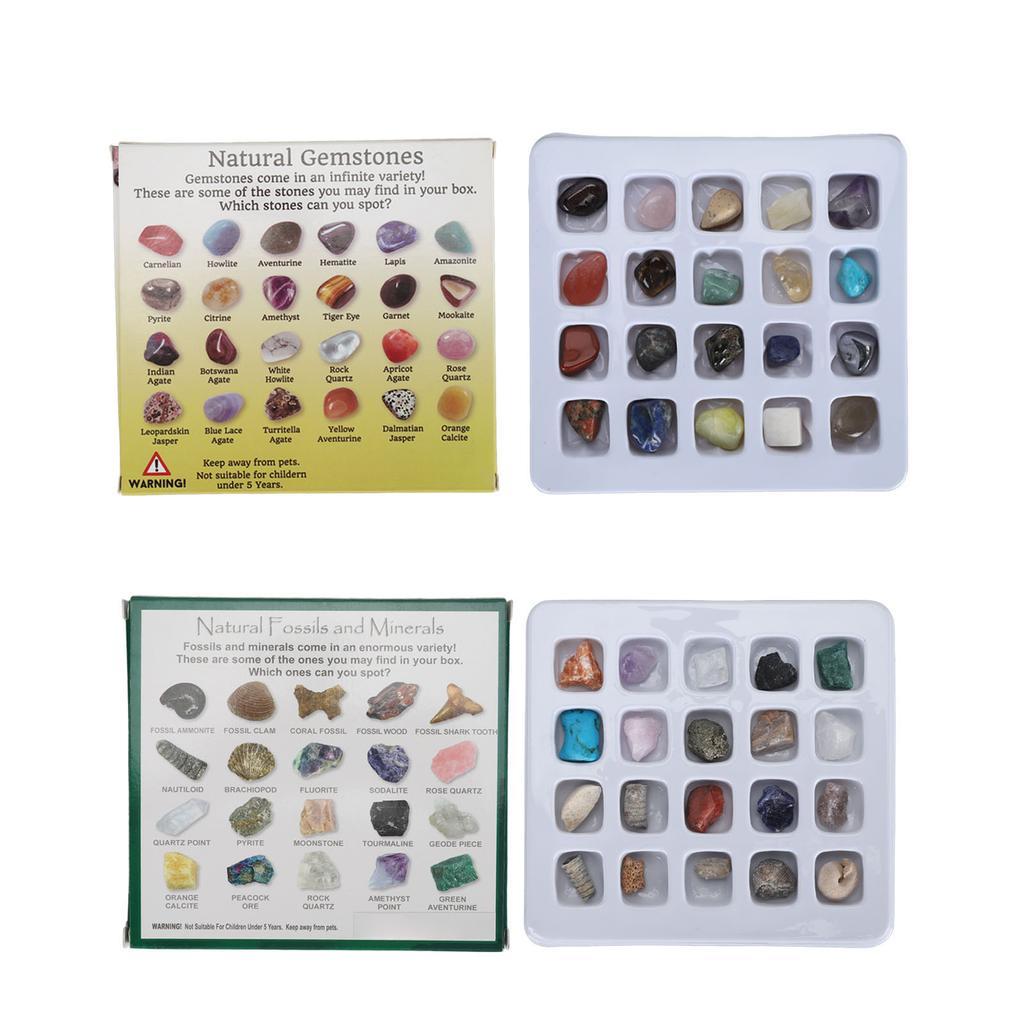20pcs Rock Stone Colletction Kit for Boys Girls Exquisite Science Classroom Rocks and Minerals 