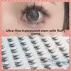 Yue Jiao Niang Zodiac Cuckoo Natural Curl Beginner Eyelashes - Single Cluster for Daily Wear