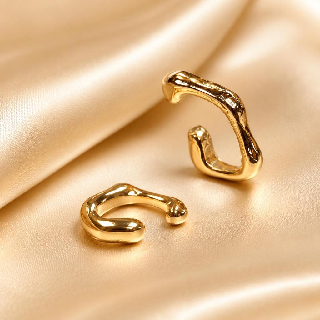 Irregular Shape Gold Stainless Steel Earrings - Niche High-End French Fashion Jewelry