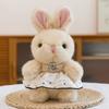 Xiaoxiangfeng Sitting Rabbit Plush Toy Cute Princess Dress Little Rabbit Rag Doll Girl Gift