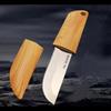 Mini Pocket Knife with Case