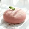 Cute Orange Berets Funny Painter Hat Apparel Accessories Tomato Cap  Street
