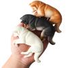 Children's Cognitive Animal Toy - French Bulldog, Shiba Inu, Labrador, Corgi Models