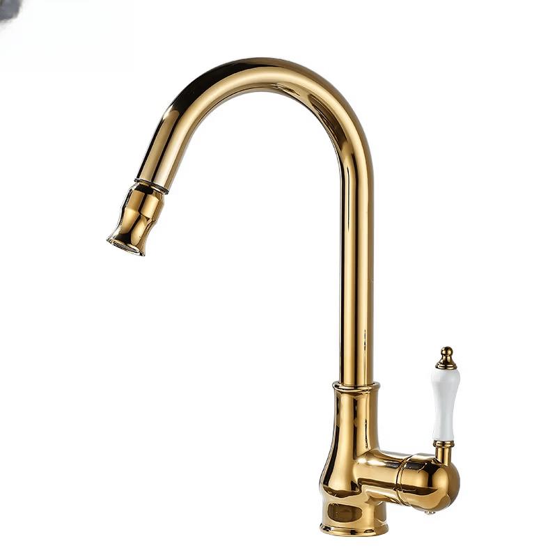 

TLXT French Retro Gold Kitchen Sink Faucet