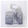 New autumn and winter warm vest versatile model gradually coat cold zipper vest