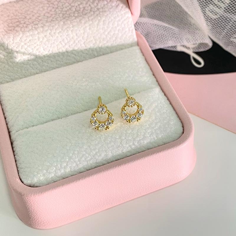 Small Diamond Ring Earrings for Women with Niche Design Light Luxury Versatile Commuter Earrings