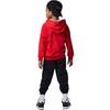 Jordan Kids Casual Sportswear Hooded Moderate FJ9633-010