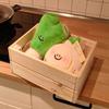 Simulation Cartoon Garlic Green Onion Ginger Vegetable Doll Plush Toy Doll Kitchen Creative Ornament Doll Premium