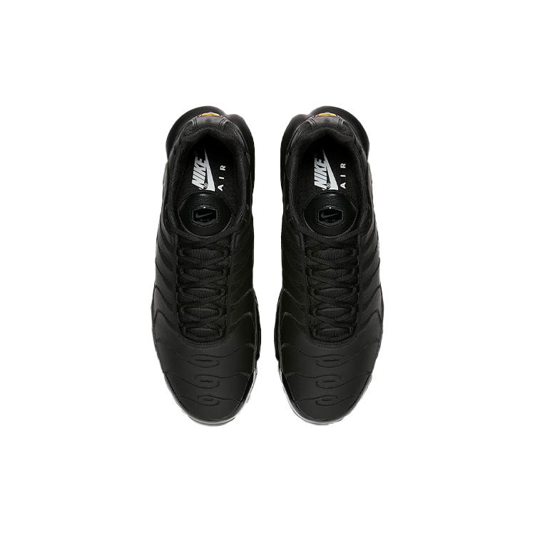 Nike Air Max Plus Triple Black Leather AJ2029-001