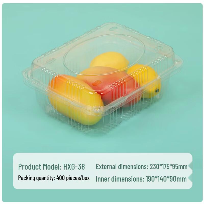 Sheng Bi Lai 1kg Disposable Takeaway Food Containers
