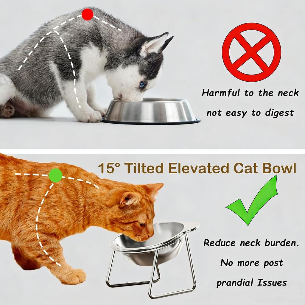 15° Tilted Elevated Cat Bowl 304 Stainless Steel Whisker‑Friendly Anti‑Vomiting Pet Feeder for Small Cats Dogs