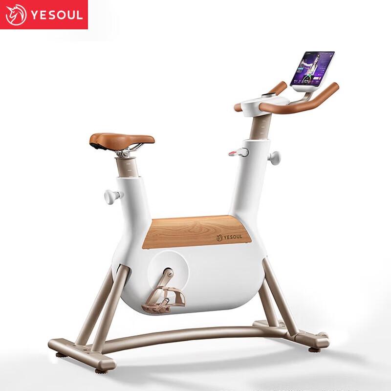 

YESOUL R6 Smart Self-Generating Indoor Cycling Bike