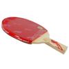 Raquette de tennis de table DHS Gold Ma Long 02 Porte-plume