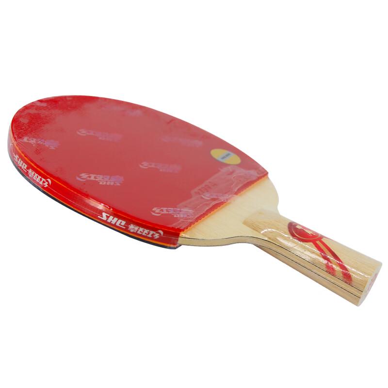 Raquette de tennis de table DHS Gold Ma Long 02 Porte-plume