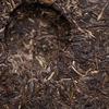 2011 TAETEA 8582 Shen Puer Tea Batch 103 Dayi Raw Puer Tea 357g