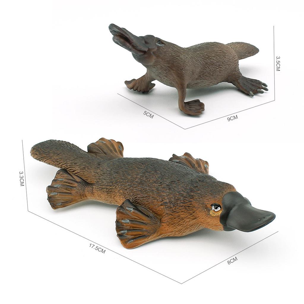 Forest Mammal Platypus Model Children'S Cognition Australian Duck Otter Tabletop Ornament