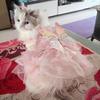 Dog Princess Dress Thin Cat Rainbow Butterfly Skirt Summer Girl Puppy Lace Tutu Dress for Small Medium Dogs Cats