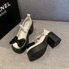 Fashion 2025 Summer New Coarse Heel  Single Shoes Fashion Bowknot Thick Heel Round Toe Pumps Trendy Street Lolita Shoes