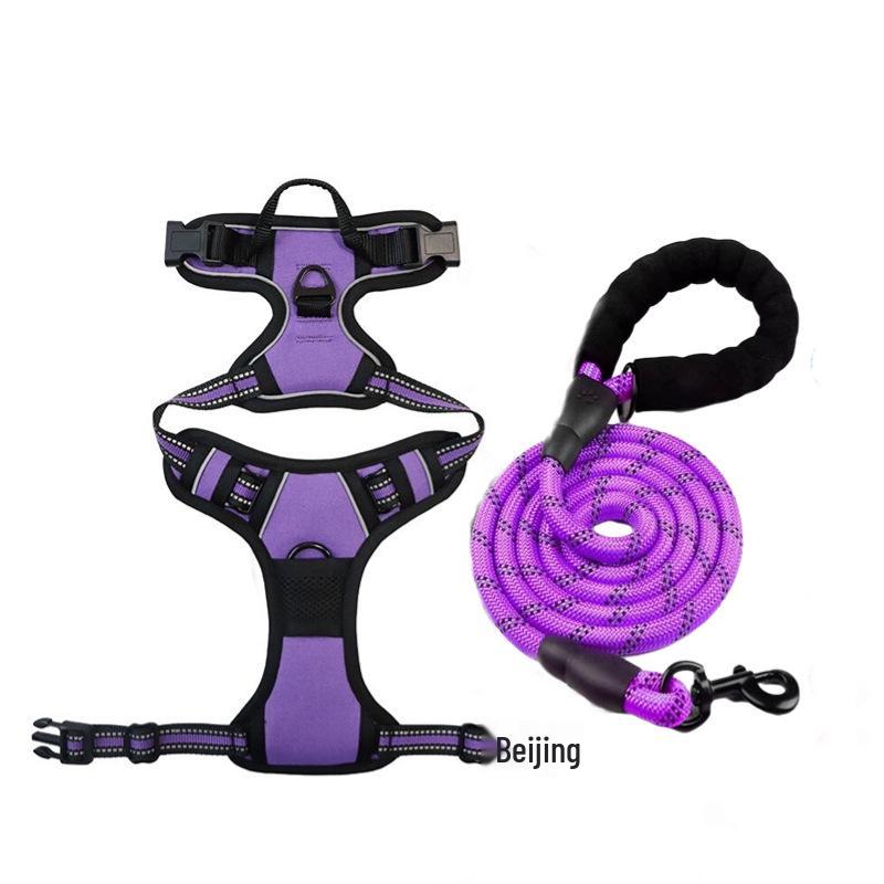 Dog Nylon Chest Harness and Leash for Large Pets