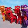 Xunsen Southern Lion Dance Full Set