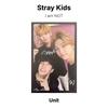 Stray Kids Ich bin KEINE offizielle Fotokarte