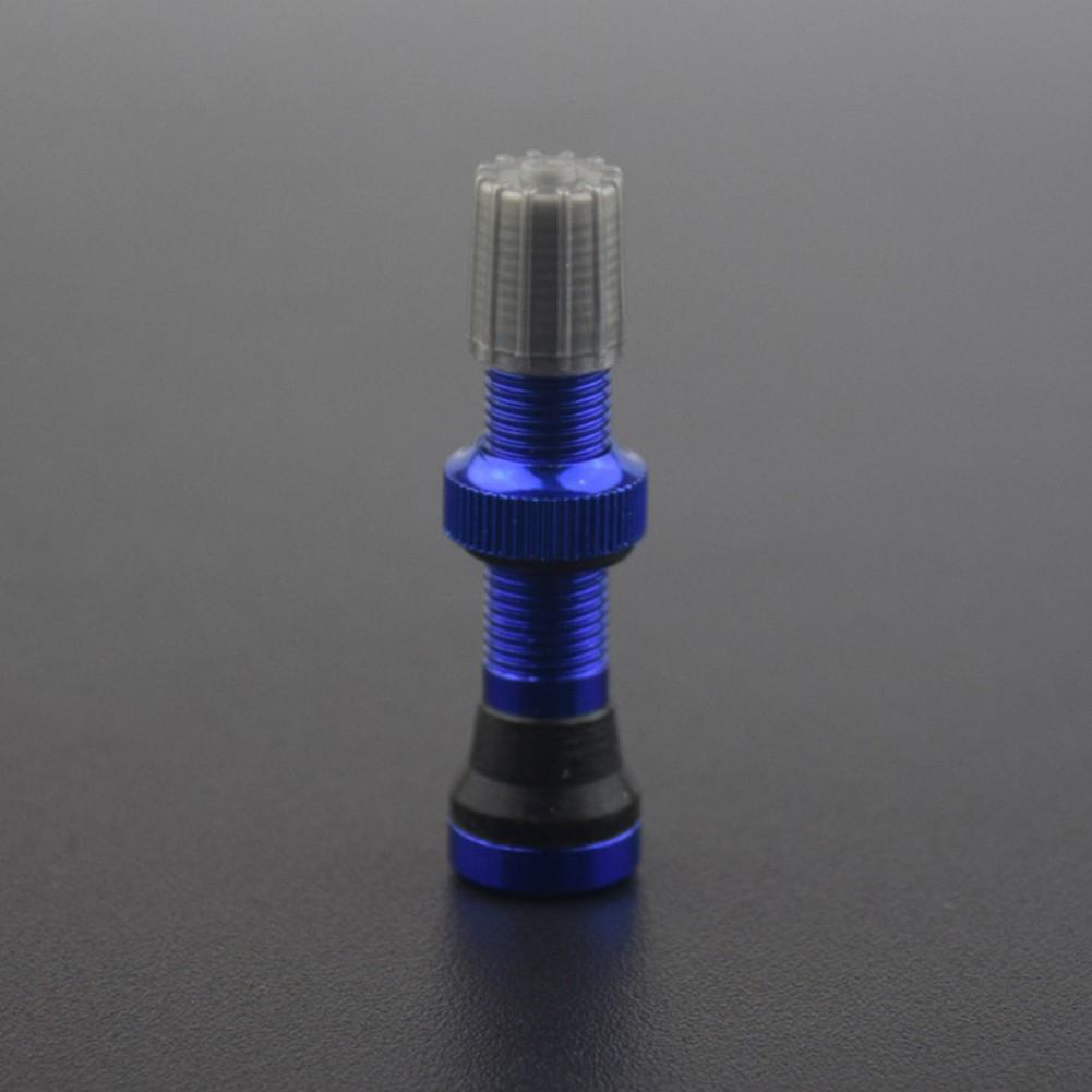 

Бескамерные клапаны для клапанов Шредера синий