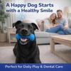 Quick Brushing Dual-Action Canine Dental Prop Blue Dog Toothbrushing Toy  for Medium Small Dogs