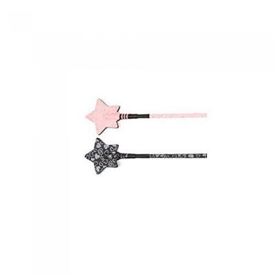 HySCHOOL Glitter Star Riding Whip