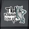 Accesorii de exterior – Autocolante pentru auto