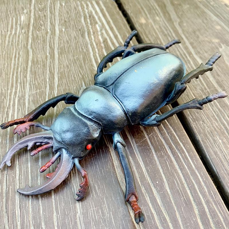 Large sized insect animal simulation model, spider, locust, scorpion, ant, unicorn fairy, children's educational cognitive ornam