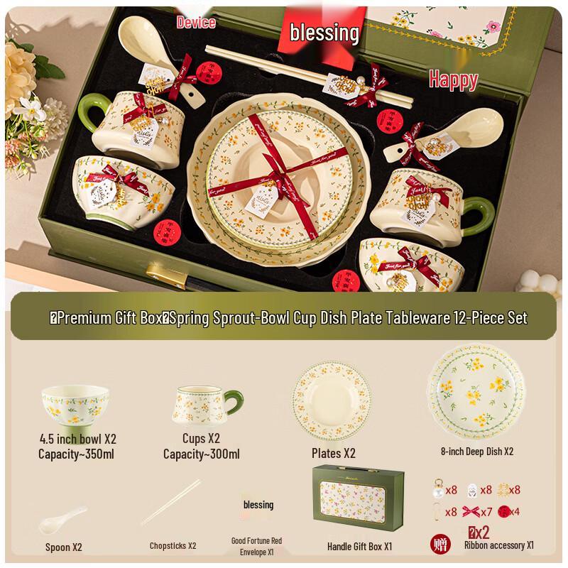 European Bone China 12-Piece Dinnerware Gift Set