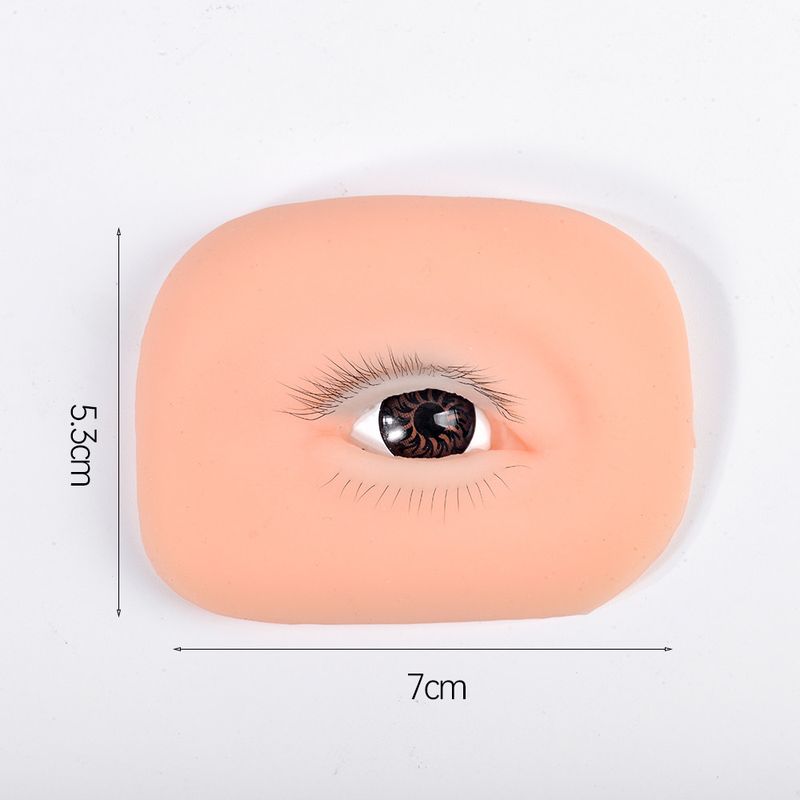 Eyelash Practice Module, a Specialized Simulation Practice Tool for Beginner Eyelash Technicians, Including Eyelash and Eyebrow Tattoo Practice Film