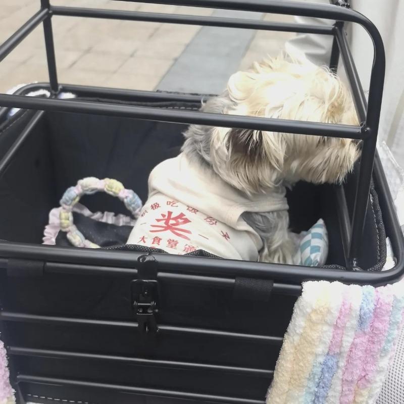 Large Bicycle Rear Basket Dog Carrier with Lock Metal Bike Rack Dogs Carriers Basket for Electric Bike Storage Basket with Liner