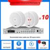 Wireless Indoor Ceiling Speaker with Wall-Mountable Hanging System