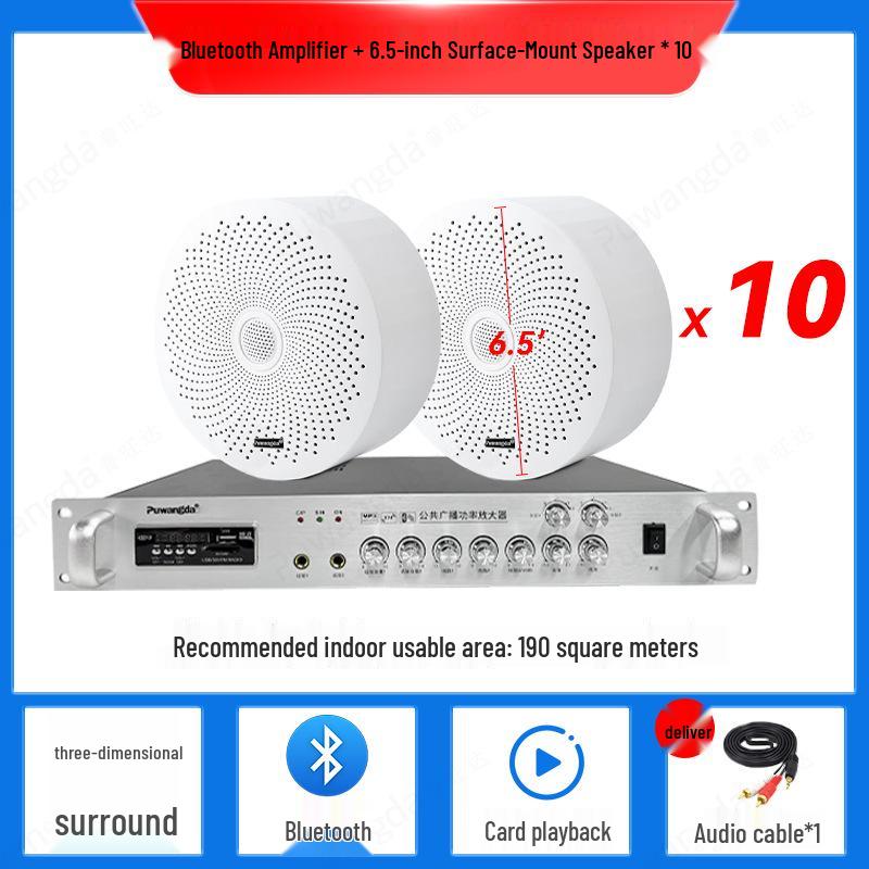 Wireless Indoor Ceiling Speaker with Wall-Mountable Hanging System