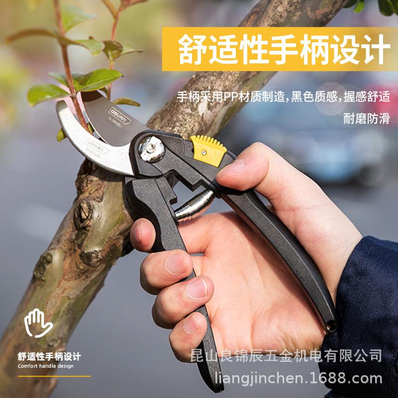 Deli Tools Labor-Saving Alloy Steel Pruners: Garden, Tree, and Flower Branch Pruning - Model D580201
