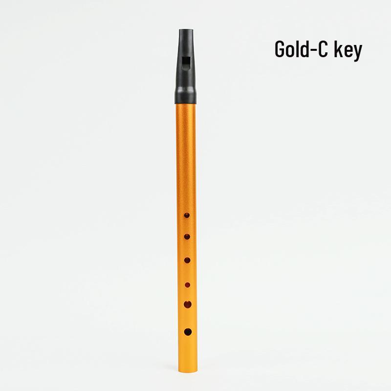 Irish Tin Whistle Beginner Flute, 6-Hole Metal, C & D Key, Soprano Alto Woodwind Recorder