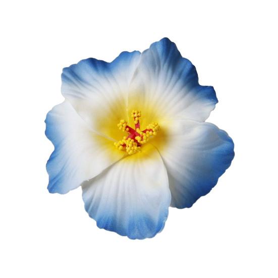 Hairpin Soft Strong Texture Lightweight Decorative Flower Hair Clip Realistic Flower Design Holiday Leisure Hair Pin