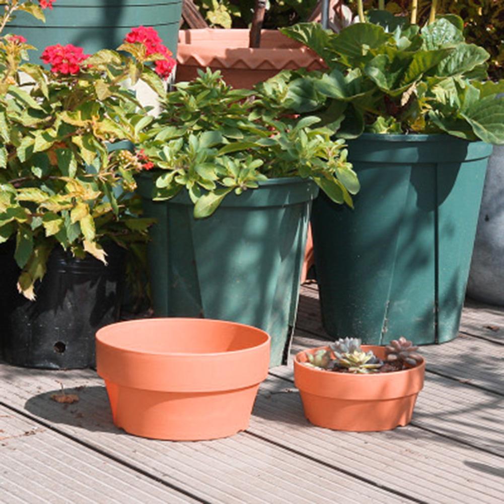 Vaso Fiorito Succulente Piante in Vaso Mini Fioriere Decorazione Ufficio Giardino Accessori Casa EL