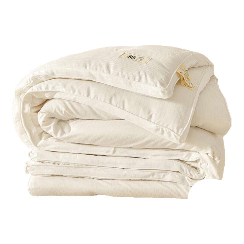 

SuShiDai Class A Antibacterial Soy Fiber Quilt 150x200cm