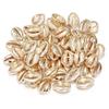 Trendy CCB Shell Pendants - DIY Jewelry Accessories for Earrings, Necklaces, and Bracelets.