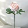 Peony Artifiical Flower Branch Flexible Stems 29cm Height Camellia Fake Flower with Green Leaves Simulation Flower
