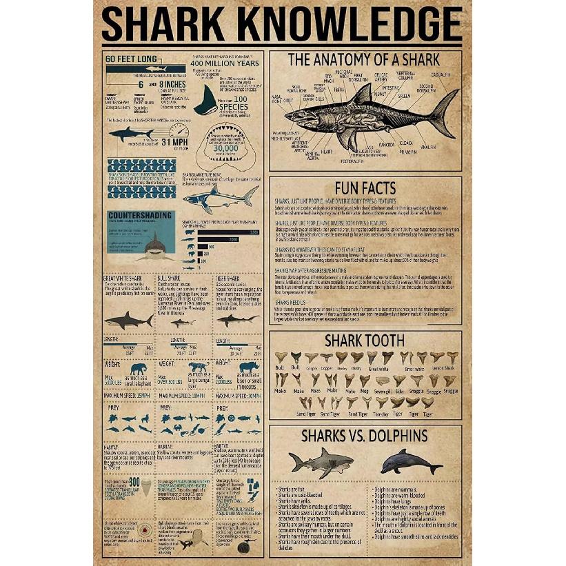 Shark Knowledge Funny Metal Tin Sign The Anatomy Of A Shark Retro Poster School Education Technology Museum Living Room Kitchen Bathroom Home Art