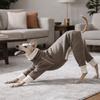 Casual Style High Neck Dog Jumpsuit Stretchy Breathable Pet Turtleneck Cold-Proof Plush Pet Warm Sportswear Daily Walk